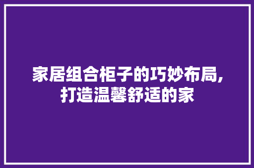 家居组合柜子的巧妙布局,打造温馨舒适的家 工艺流程