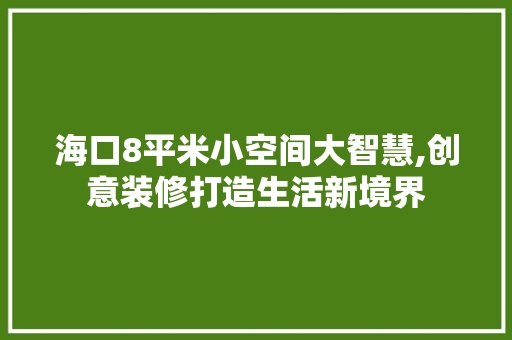 海口8平米小空间大智慧,创意装修打造生活新境界 知识问答