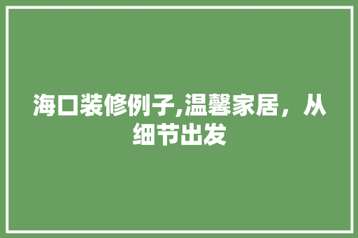 海口装修例子,温馨家居，从细节出发 施工管理