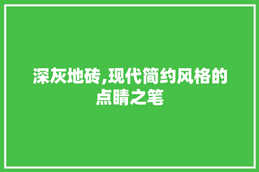 深灰地砖,现代简约风格的点睛之笔 建筑设计