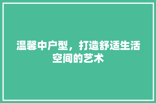 温馨中户型，打造舒适生活空间的艺术 工艺流程