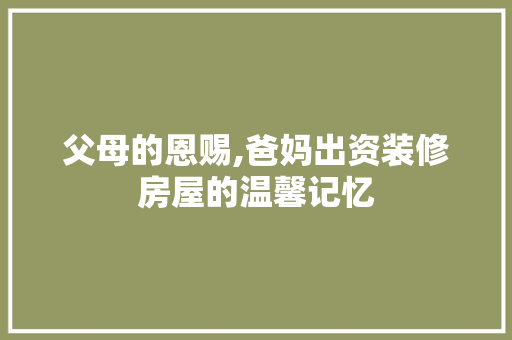 父母的恩赐,爸妈出资装修房屋的温馨记忆 施工工艺