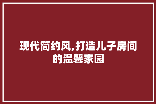 现代简约风,打造儿子房间的温馨家园 常用建材