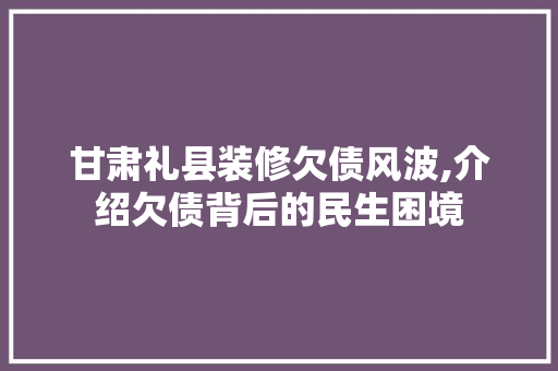 甘肃礼县装修欠债风波,介绍欠债背后的民生困境 工艺流程