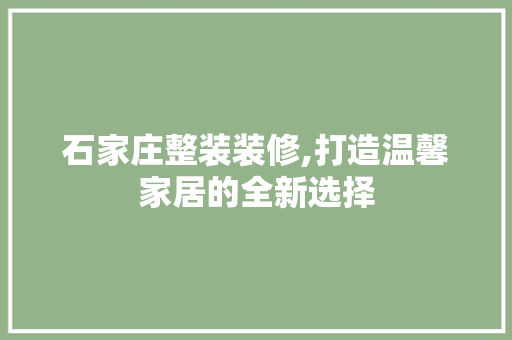 石家庄整装装修,打造温馨家居的全新选择 材料设备