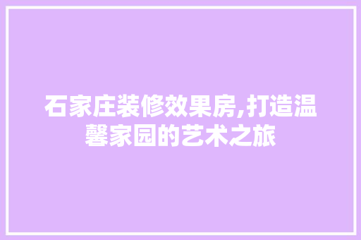 石家庄装修效果房,打造温馨家园的艺术之旅 设计原则