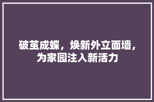 破茧成蝶，焕新外立面墙，为家园注入新活力 材料设备