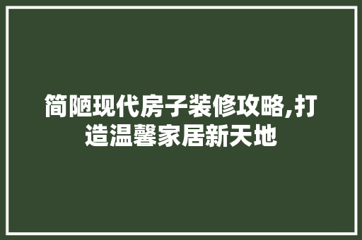 简陋现代房子装修攻略,打造温馨家居新天地 常用设备