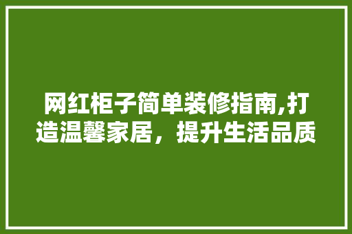 网红柜子简单装修指南,打造温馨家居，提升生活品质 常用设备
