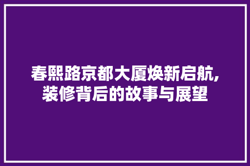 春熙路京都大厦焕新启航,装修背后的故事与展望 常用建材