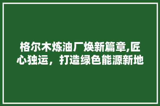 格尔木炼油厂焕新篇章,匠心独运，打造绿色能源新地标 施工管理