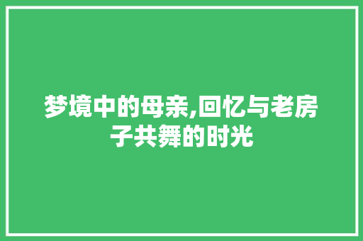 梦境中的母亲,回忆与老房子共舞的时光 施工管理