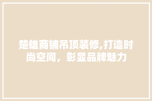 楚雄商铺吊顶装修,打造时尚空间，彰显品牌魅力 住宅建筑设计
