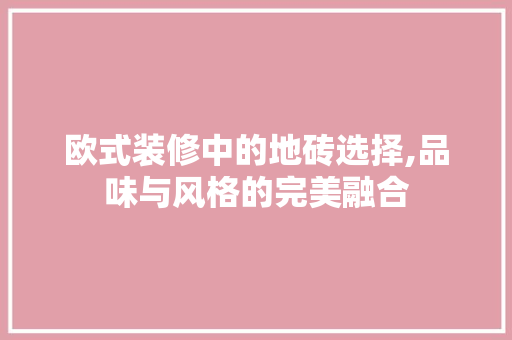欧式装修中的地砖选择,品味与风格的完美融合