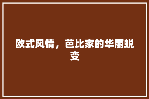 欧式风情，芭比家的华丽蜕变 材料设备