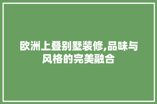 欧洲上叠别墅装修,品味与风格的完美融合 常用设备
