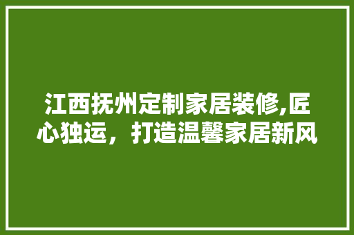 江西抚州定制家居装修,匠心独运，打造温馨家居新风尚 工艺流程