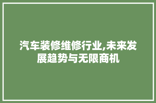 汽车装修维修行业,未来发展趋势与无限商机 施工管理