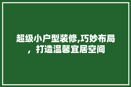超级小户型装修,巧妙布局，打造温馨宜居空间 知识问答