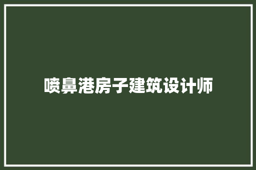 喷鼻港房子建筑设计师 施工管理