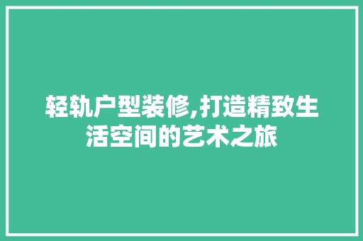 轻轨户型装修,打造精致生活空间的艺术之旅 常用设备