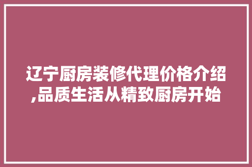 辽宁厨房装修代理价格介绍,品质生活从精致厨房开始 施工工艺