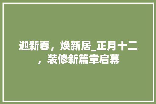 迎新春，焕新居_正月十二，装修新篇章启幕 公共建筑设计