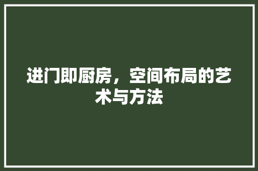 进门即厨房，空间布局的艺术与方法