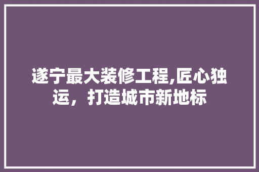 遂宁最大装修工程,匠心独运，打造城市新地标 材料设备