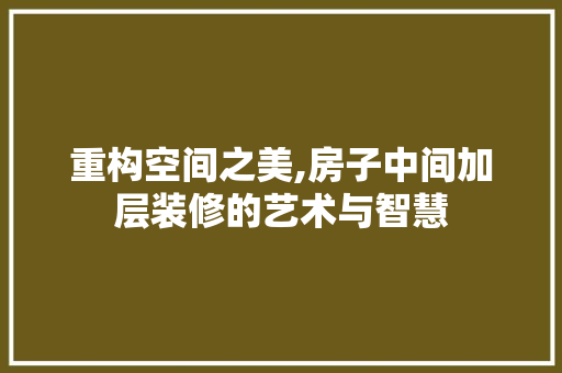 重构空间之美,房子中间加层装修的艺术与智慧