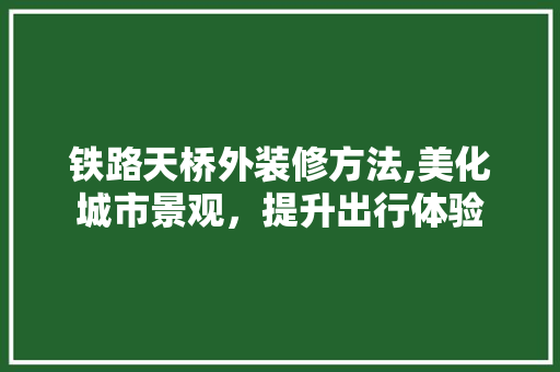 铁路天桥外装修方法,美化城市景观，提升出行体验 公共建筑设计
