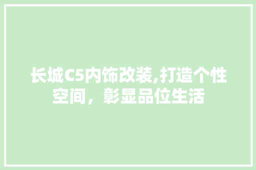 长城C5内饰改装,打造个性空间，彰显品位生活 公共建筑设计