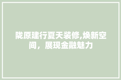 陇原建行夏天装修,焕新空间，展现金融魅力 工艺流程