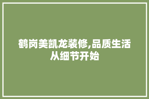 鹤岗美凯龙装修,品质生活从细节开始 施工工艺