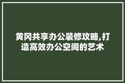 黄冈共享办公装修攻略,打造高效办公空间的艺术