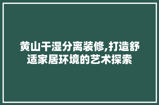 黄山干湿分离装修,打造舒适家居环境的艺术探索 施工技术