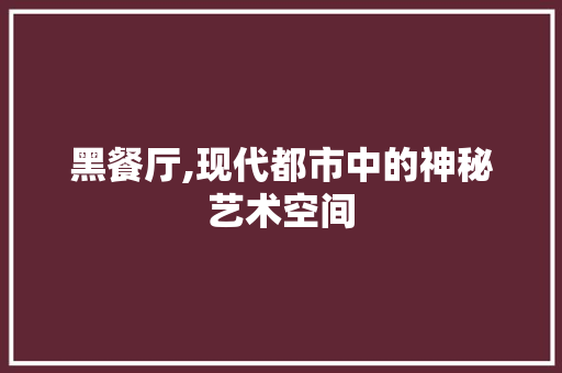 黑餐厅,现代都市中的神秘艺术空间 工艺流程