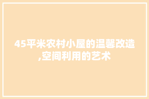 45平米农村小屋的温馨改造,空间利用的艺术 知识问答