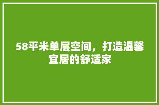 58平米单层空间，打造温馨宜居的舒适家 工艺流程