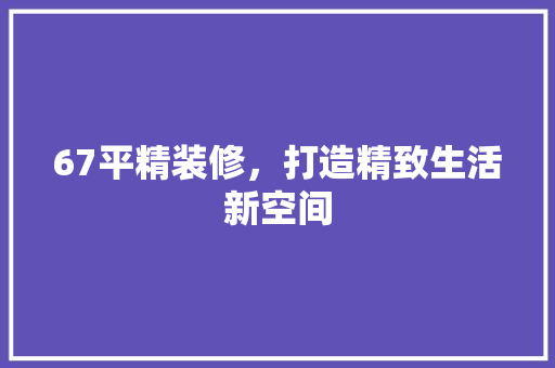 67平精装修，打造精致生活新空间 施工工艺