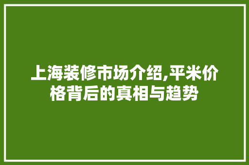 上海装修市场介绍,平米价格背后的真相与趋势 常用设备