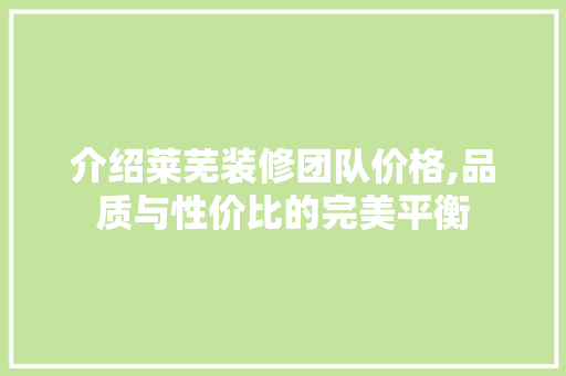 介绍莱芜装修团队价格,品质与性价比的完美平衡 新型材料