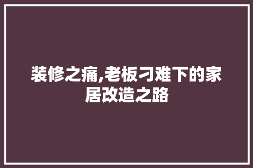 装修之痛,老板刁难下的家居改造之路 常见问题