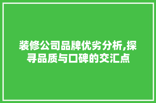 装修公司品牌优劣分析,探寻品质与口碑的交汇点 施工管理