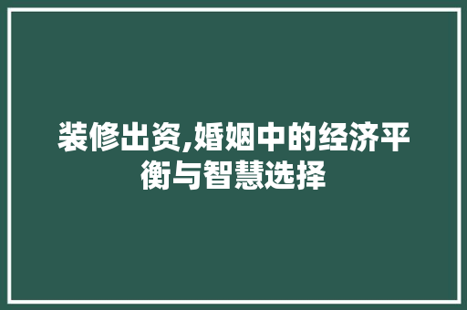 装修出资,婚姻中的经济平衡与智慧选择 新型材料
