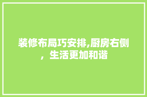 装修布局巧安排,厨房右侧，生活更加和谐 建筑设计