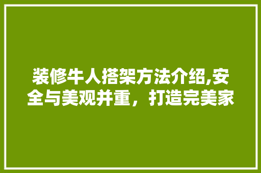 装修牛人搭架方法介绍,安全与美观并重，打造完美家居空间 施工工艺
