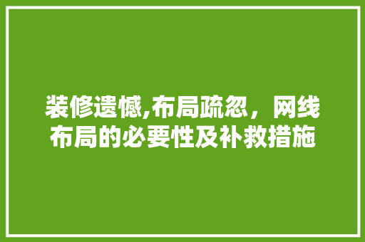 装修遗憾,布局疏忽，网线布局的必要性及补救措施 常用建材