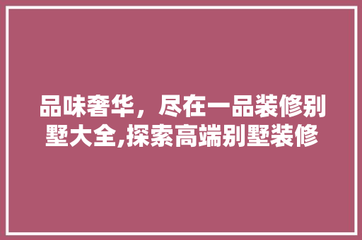品味奢华，尽在一品装修别墅大全,探索高端别墅装修的艺术与匠心 常用设备