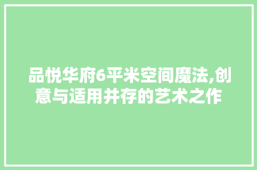 品悦华府6平米空间魔法,创意与适用并存的艺术之作 设计原则